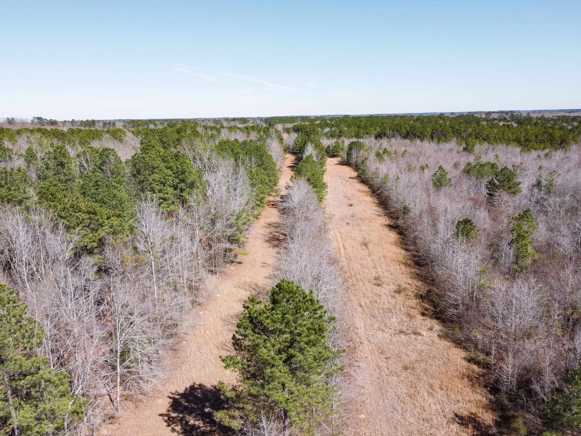 Woodville 54 – SW Lincoln Parish Timber Tract