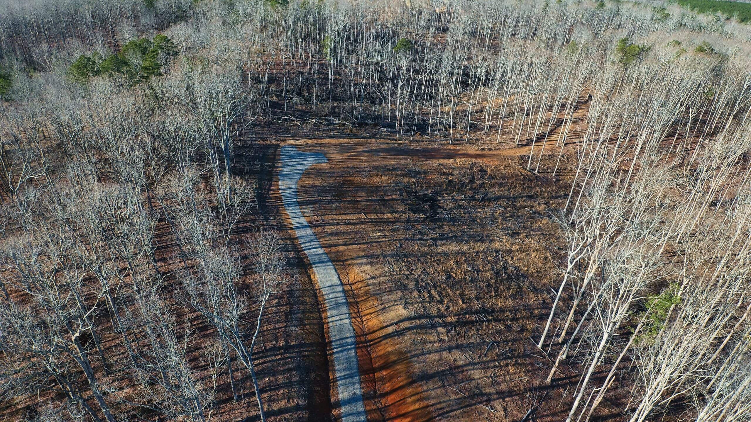 HUNTING PROPERTY FOR SALE IN TN, ROCK BOTTOM CREEKS & 5 FIELDS