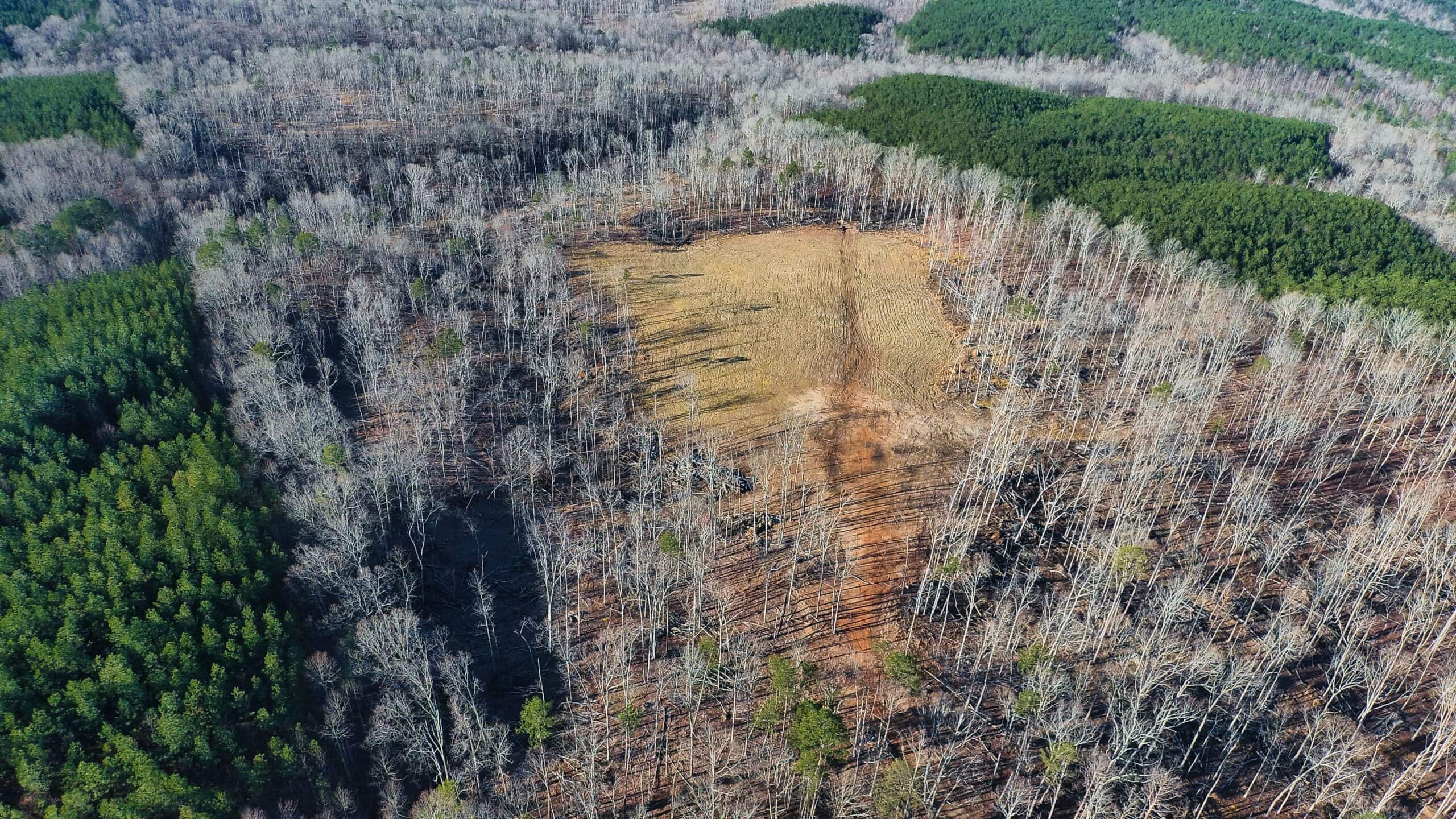 HUNTING PROPERTY FOR SALE IN TN, ROCK BOTTOM CREEKS & 5 FIELDS