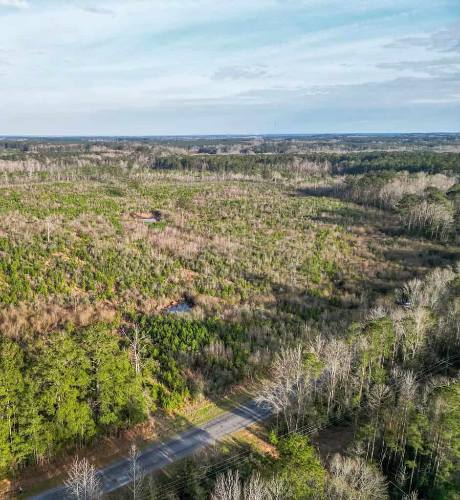 Land for Sale in Amite County, MS
