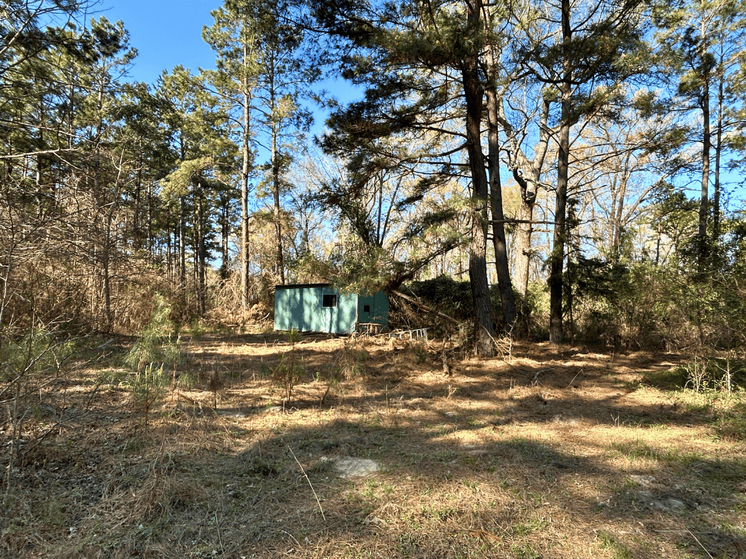 Hunting & Timber Investment Property for Sale in East Texas