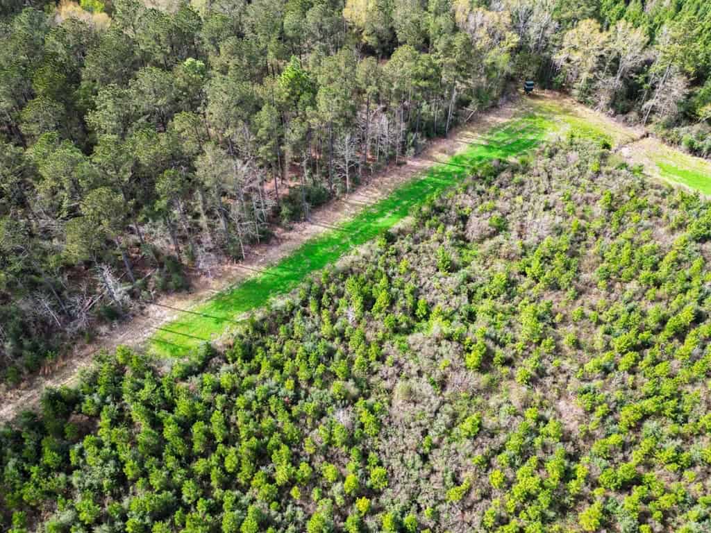 Affordable Hunting Property in Amite County