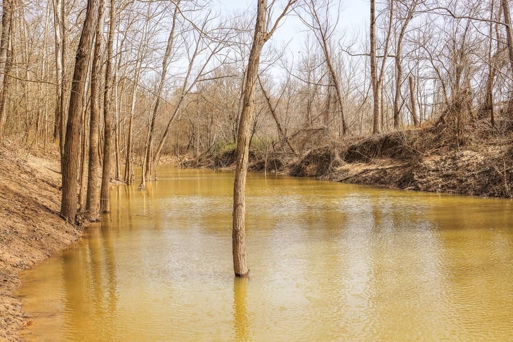 Land for Sale in Warren County, MS