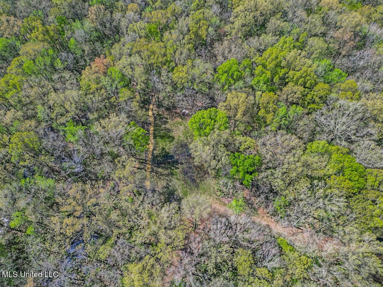 Affordable Deer/Duck Combination in Concordia Parish