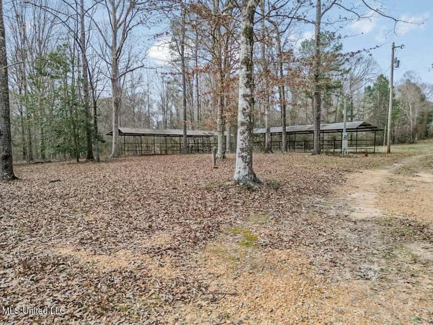 20 Acres and Cabin Adjoining Homochitto National Forest