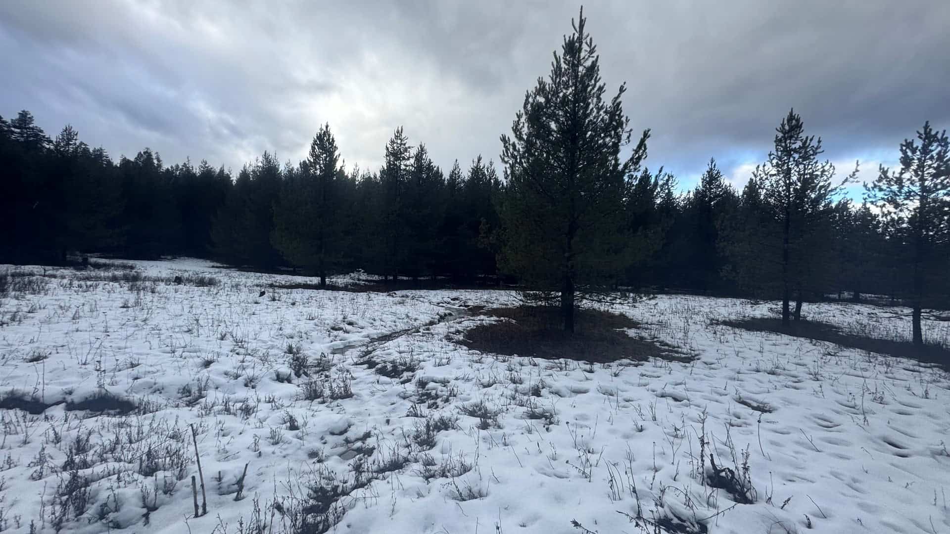 Land for Sale near Orofino in Clearwater County, Idaho