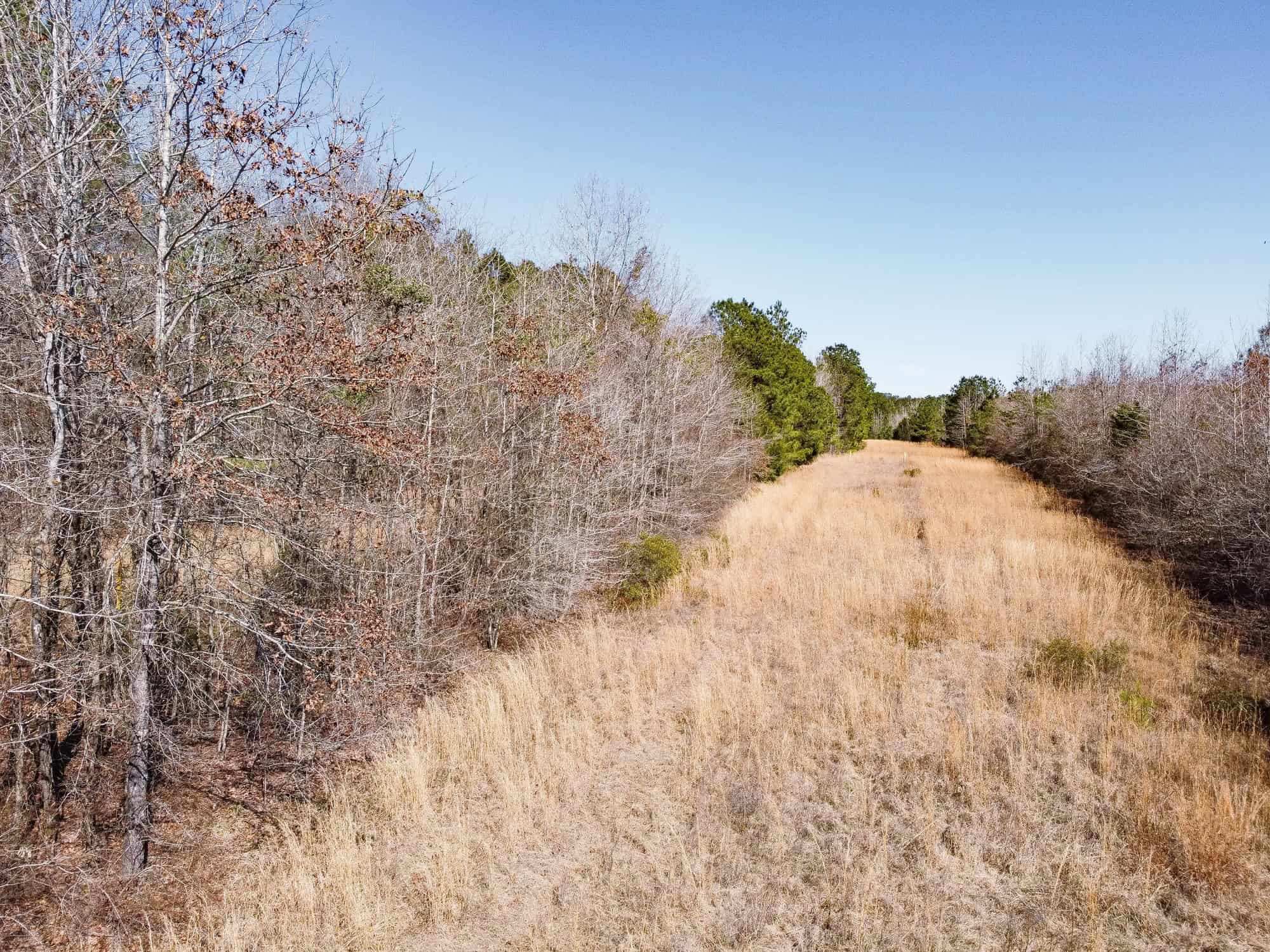 Woodville 54 – SW Lincoln Parish Timber Tract