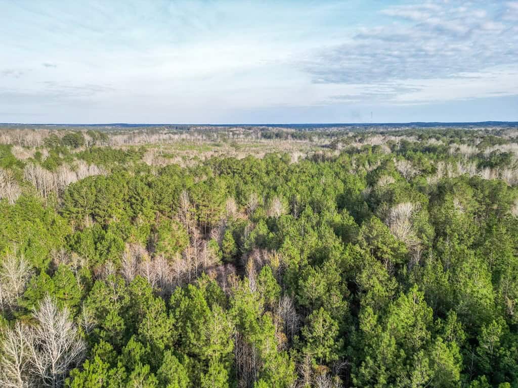 Land for Sale in Amite County, MS