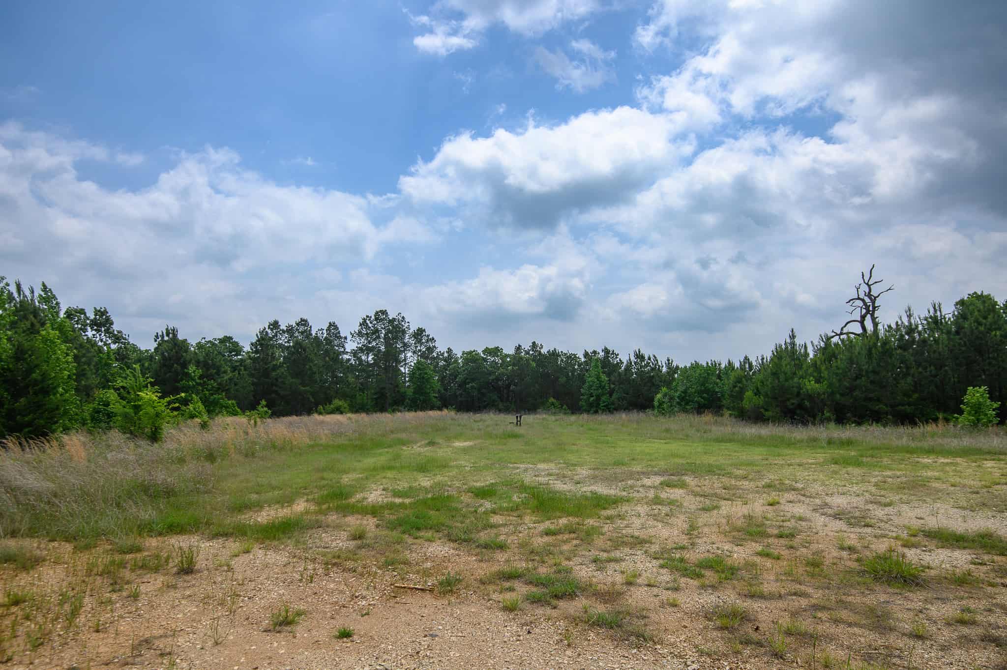 Premier East Texas Hunting & Timberland for Sale – 699 Acres in Ben Wheeler, TX