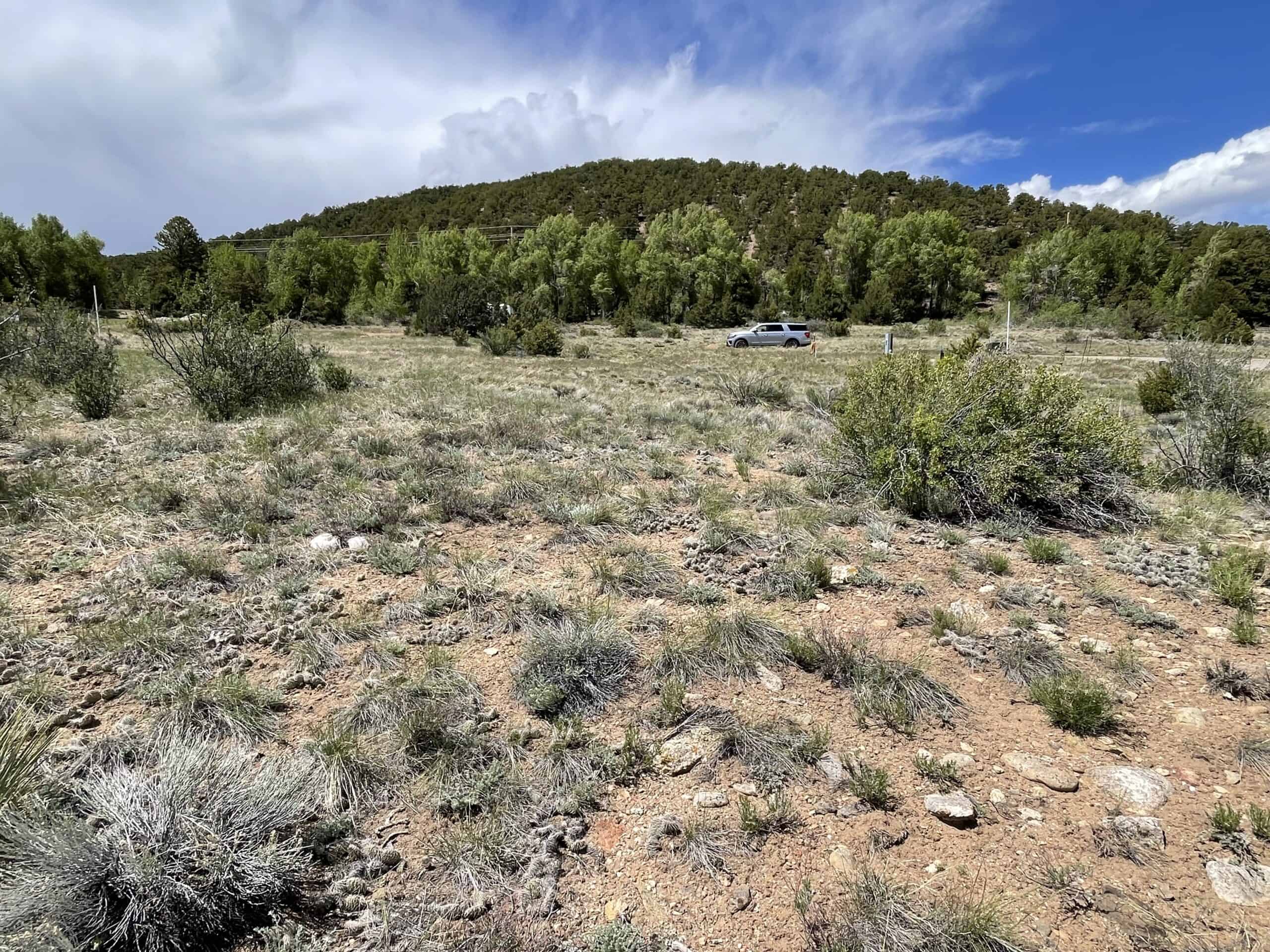 Colorado Mountain Building Lot In Salida Well and Electric