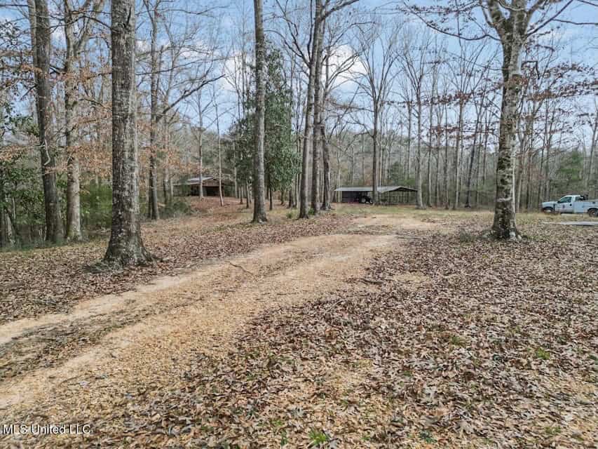 20 Acres and Cabin Adjoining Homochitto National Forest