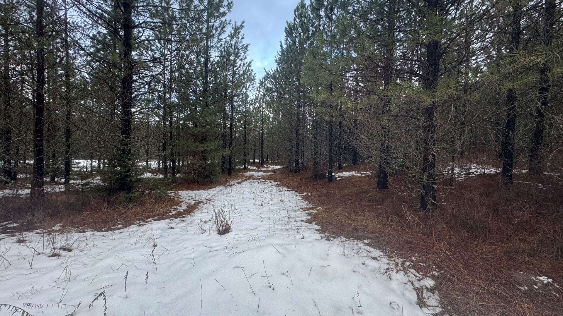 Land for Sale near Orofino in Clearwater County, Idaho