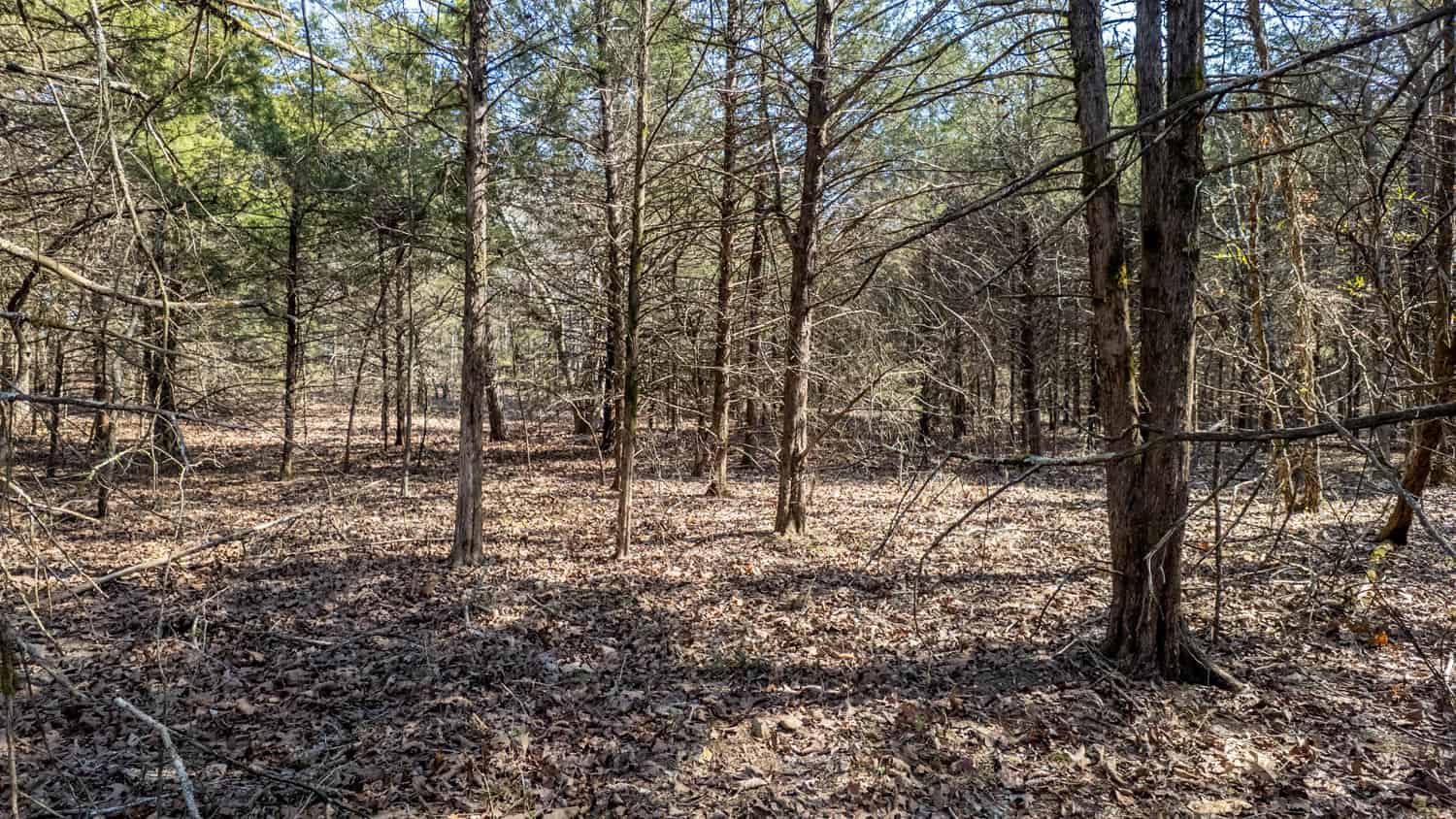 Acreage for Sale in the Howell County Ozarks