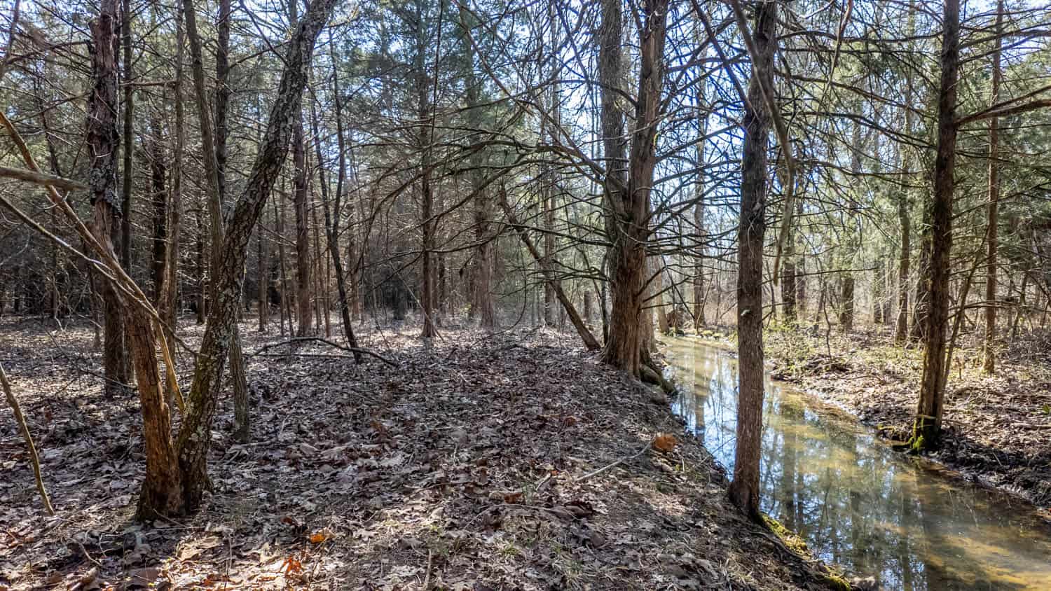 Acreage for Sale in the Howell County Ozarks
