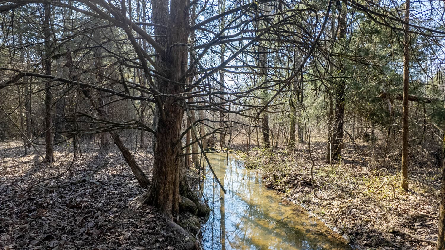 Acreage for Sale in the Howell County Ozarks
