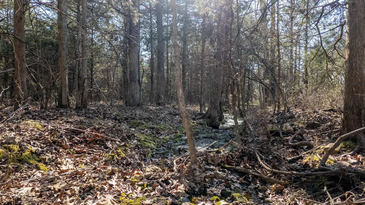 Acreage for Sale in the Howell County Ozarks
