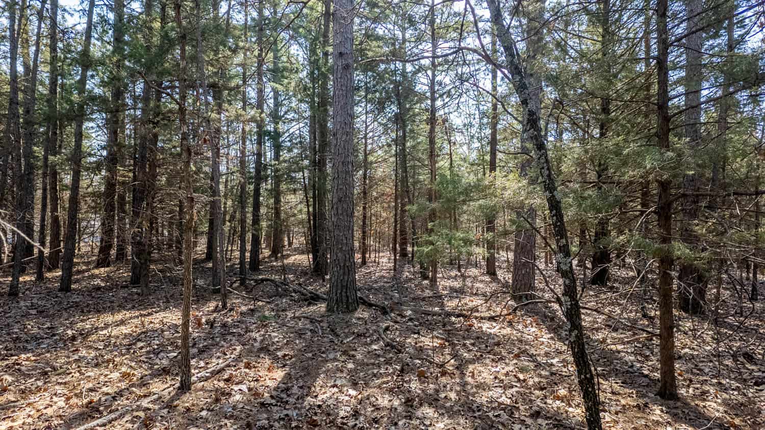 Acreage for Sale in the Howell County Ozarks