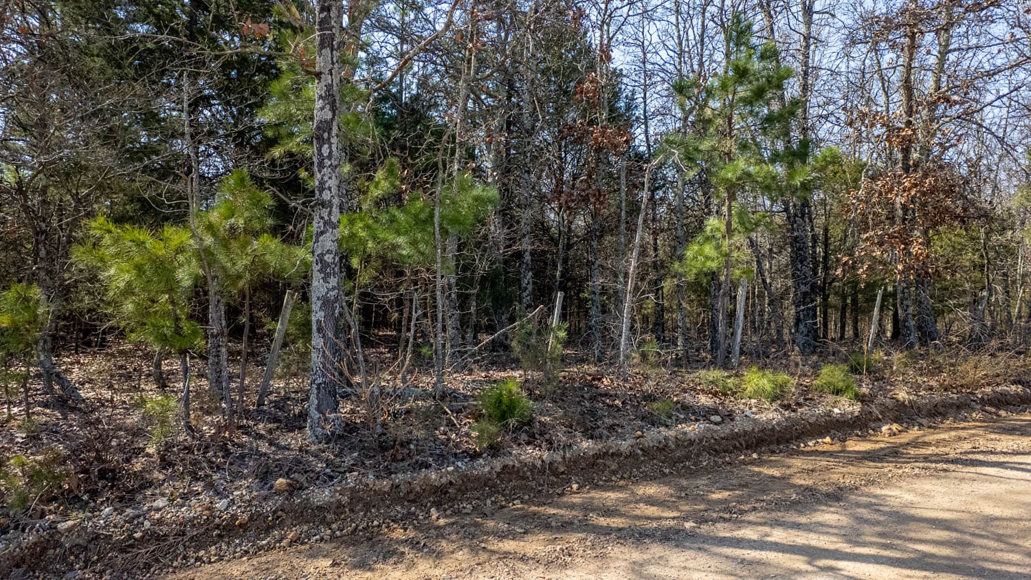 Acreage for Sale in the Howell County Ozarks
