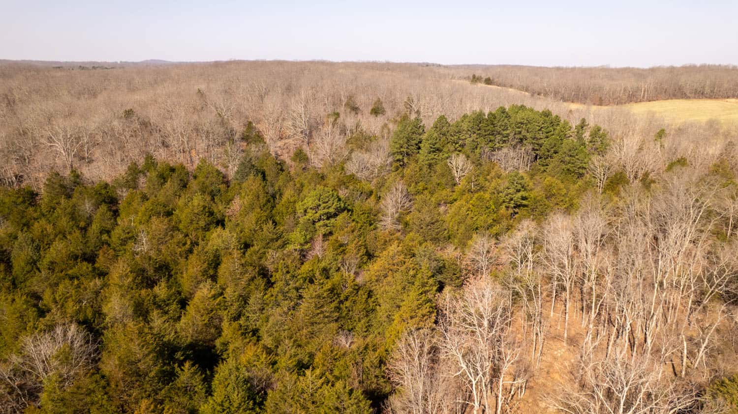 Acreage for Sale in the Howell County Ozarks