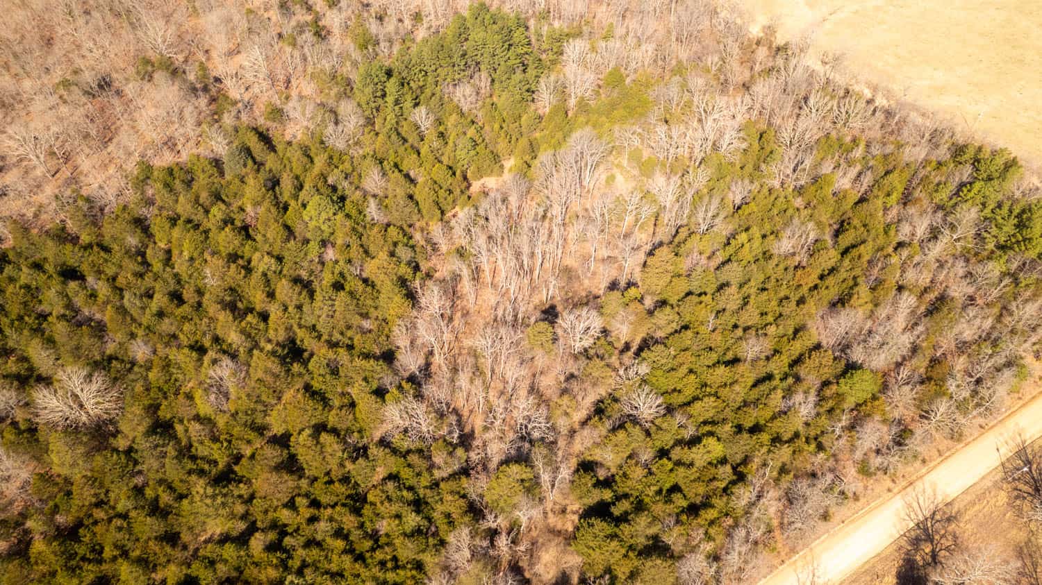 Acreage for Sale in the Howell County Ozarks