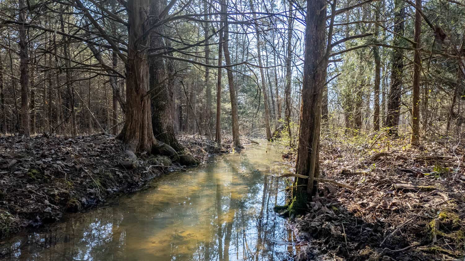 Acreage for Sale in the Howell County Ozarks