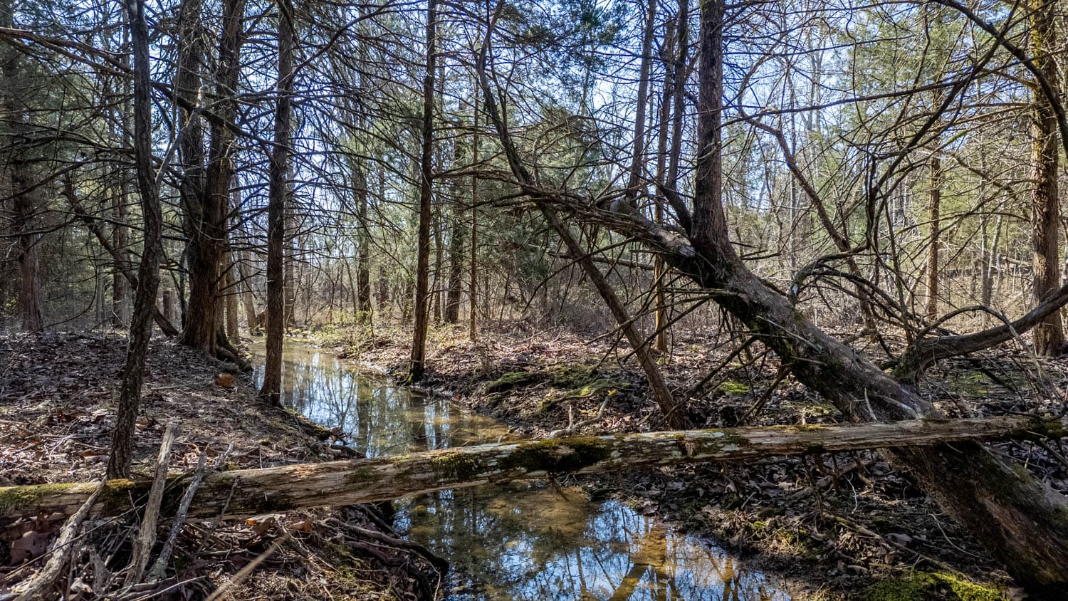 Acreage for Sale in the Howell County Ozarks