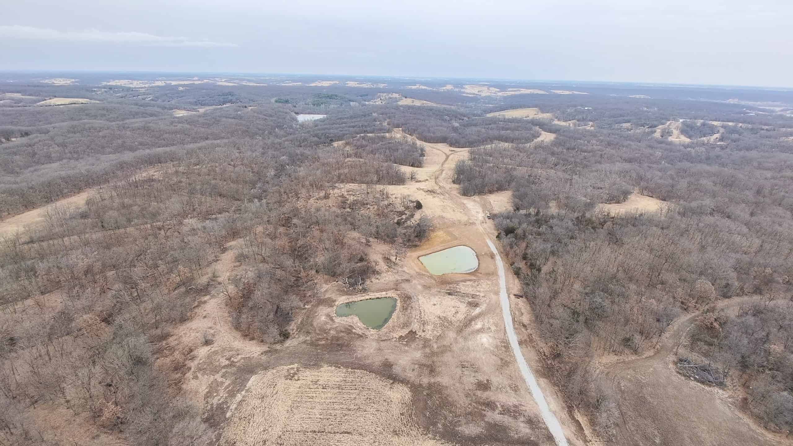 270+/- Acres | Rolling Ridges, Timber, Row Crop & Premier Hunting | Appanoose County, IA