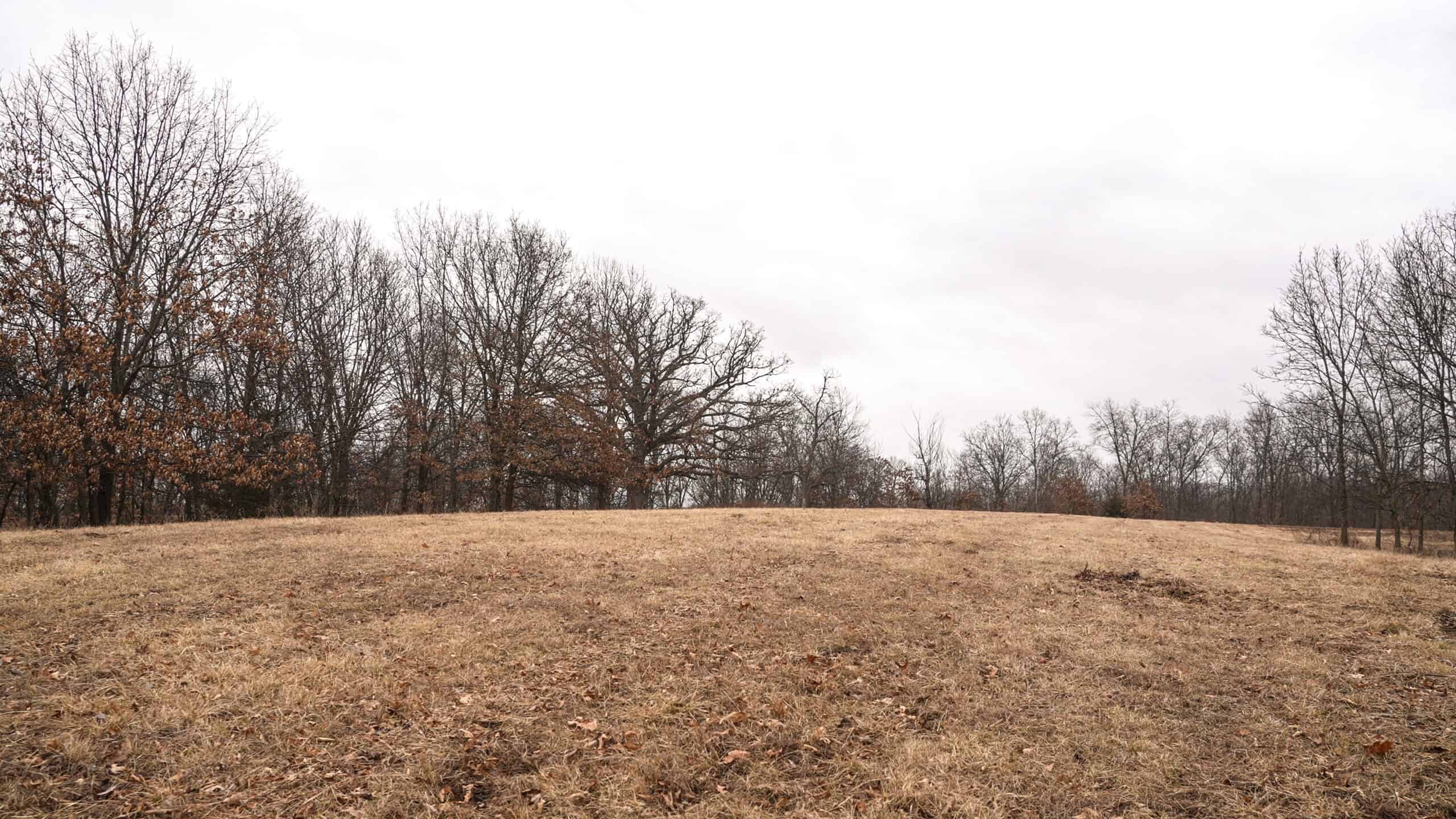 270+/- Acres | Rolling Ridges, Timber, Row Crop & Premier Hunting | Appanoose County, IA