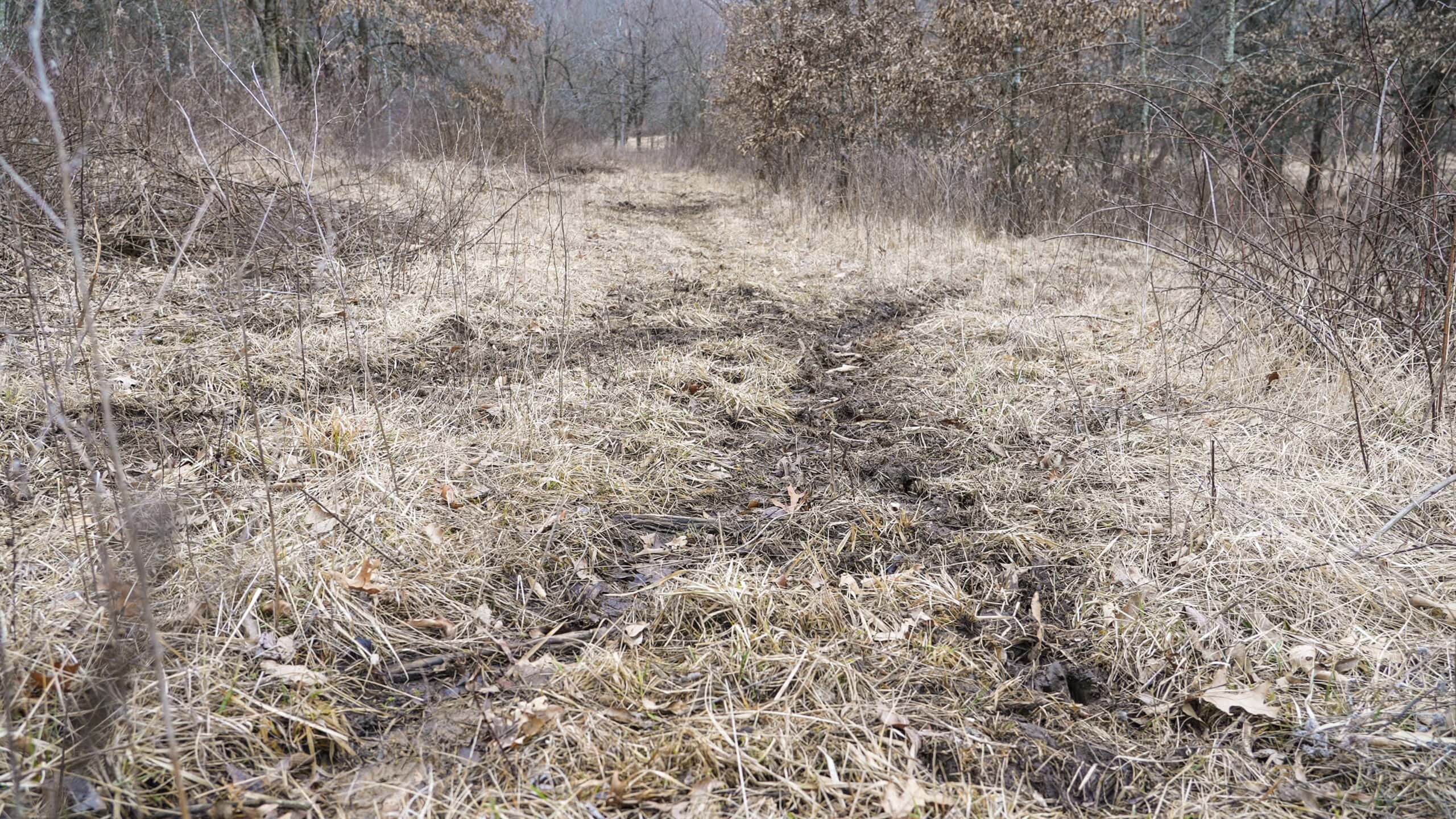 270+/- Acres | Rolling Ridges, Timber, Row Crop & Premier Hunting | Appanoose County, IA
