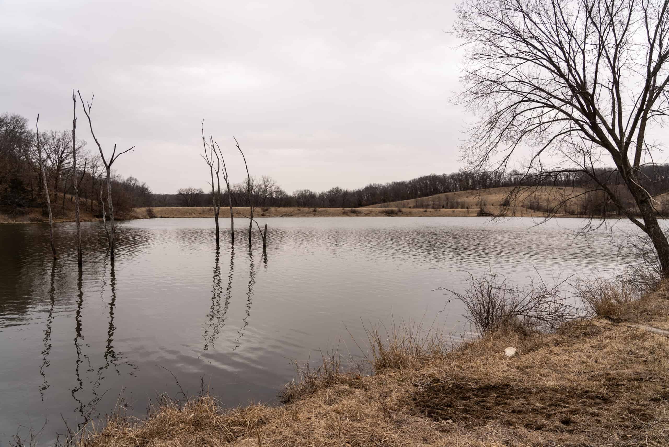 270+/- Acres | Rolling Ridges, Timber, Row Crop & Premier Hunting | Appanoose County, IA