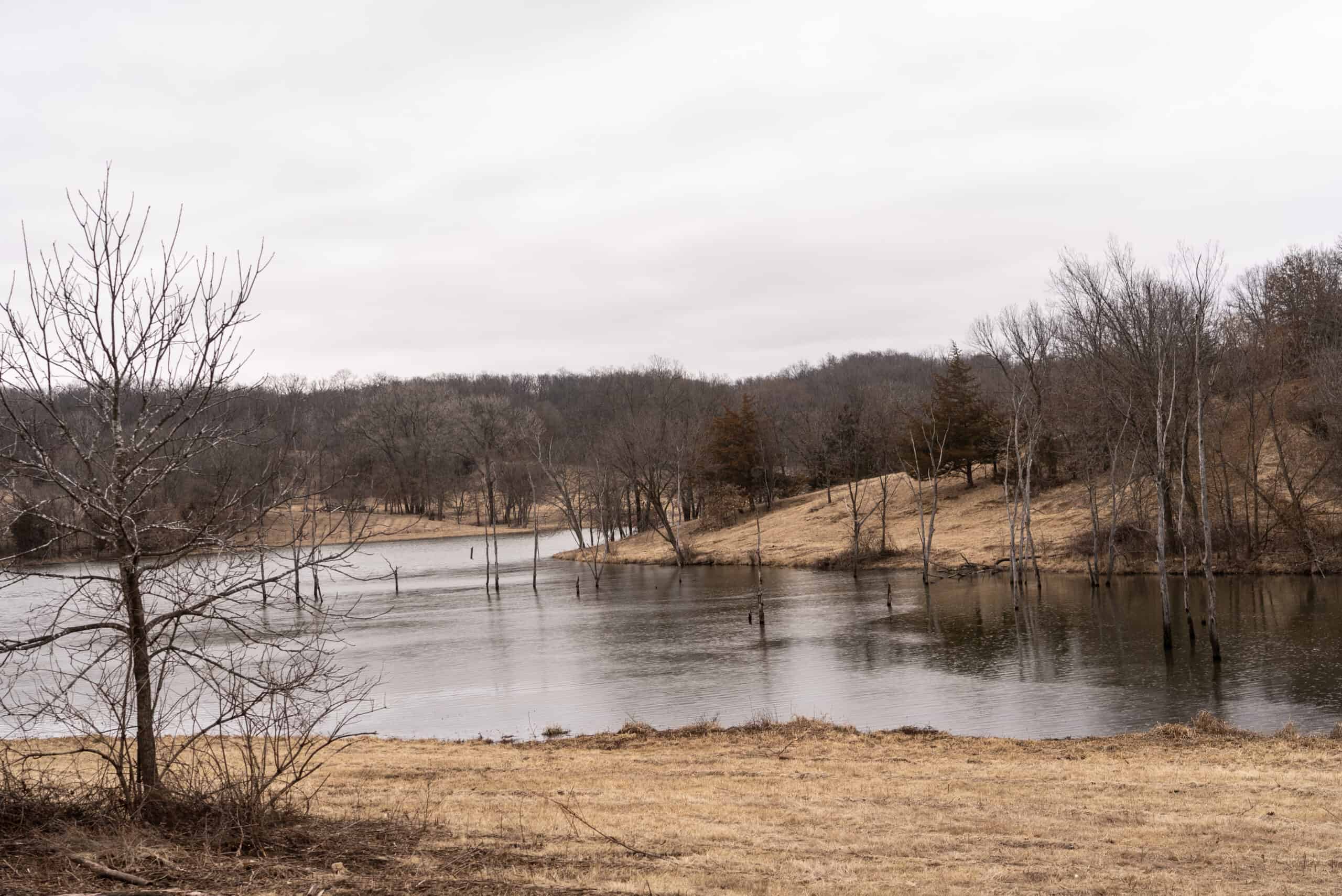 270+/- Acres | Rolling Ridges, Timber, Row Crop & Premier Hunting | Appanoose County, IA