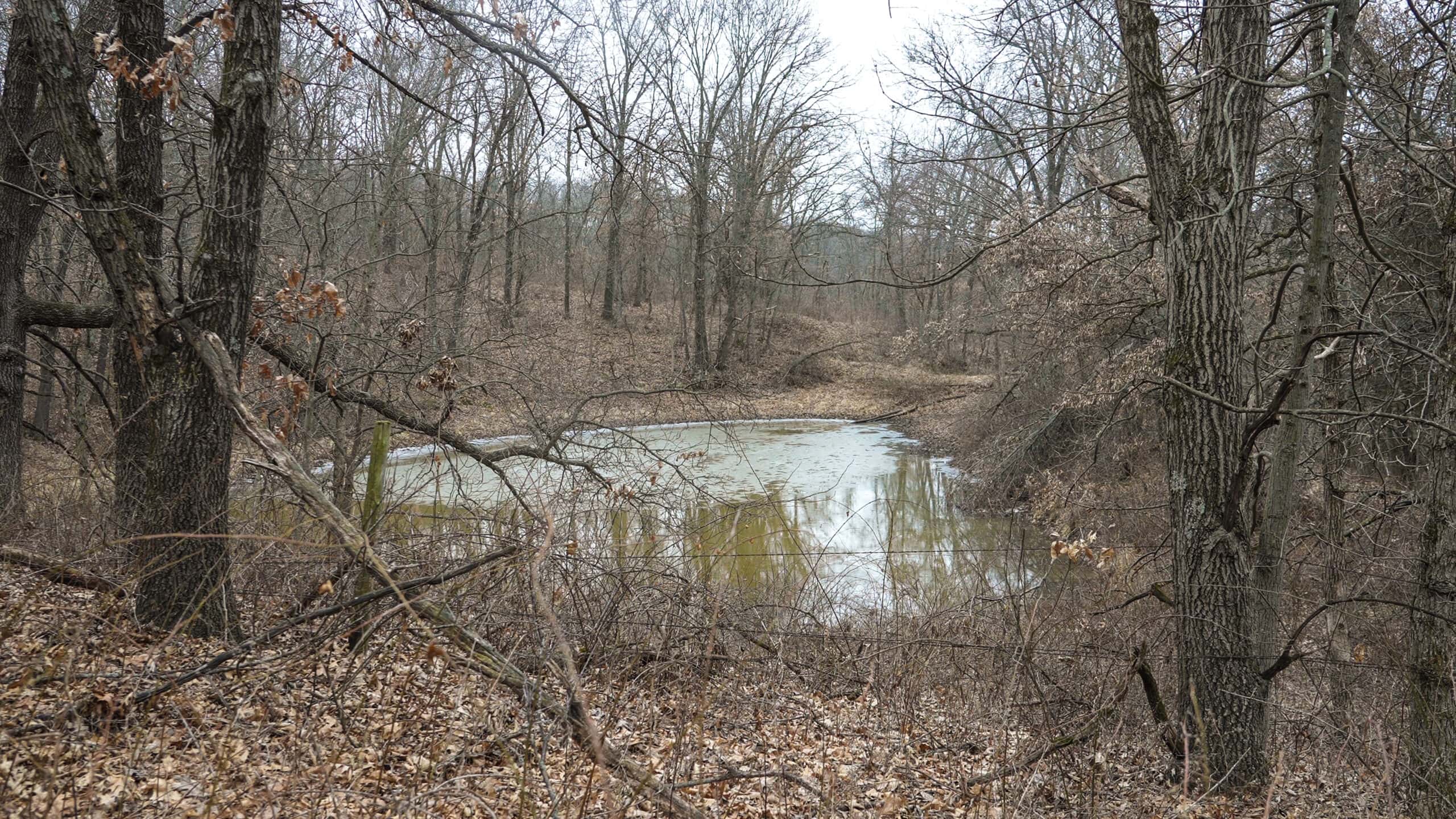 270+/- Acres | Rolling Ridges, Timber, Row Crop & Premier Hunting | Appanoose County, IA