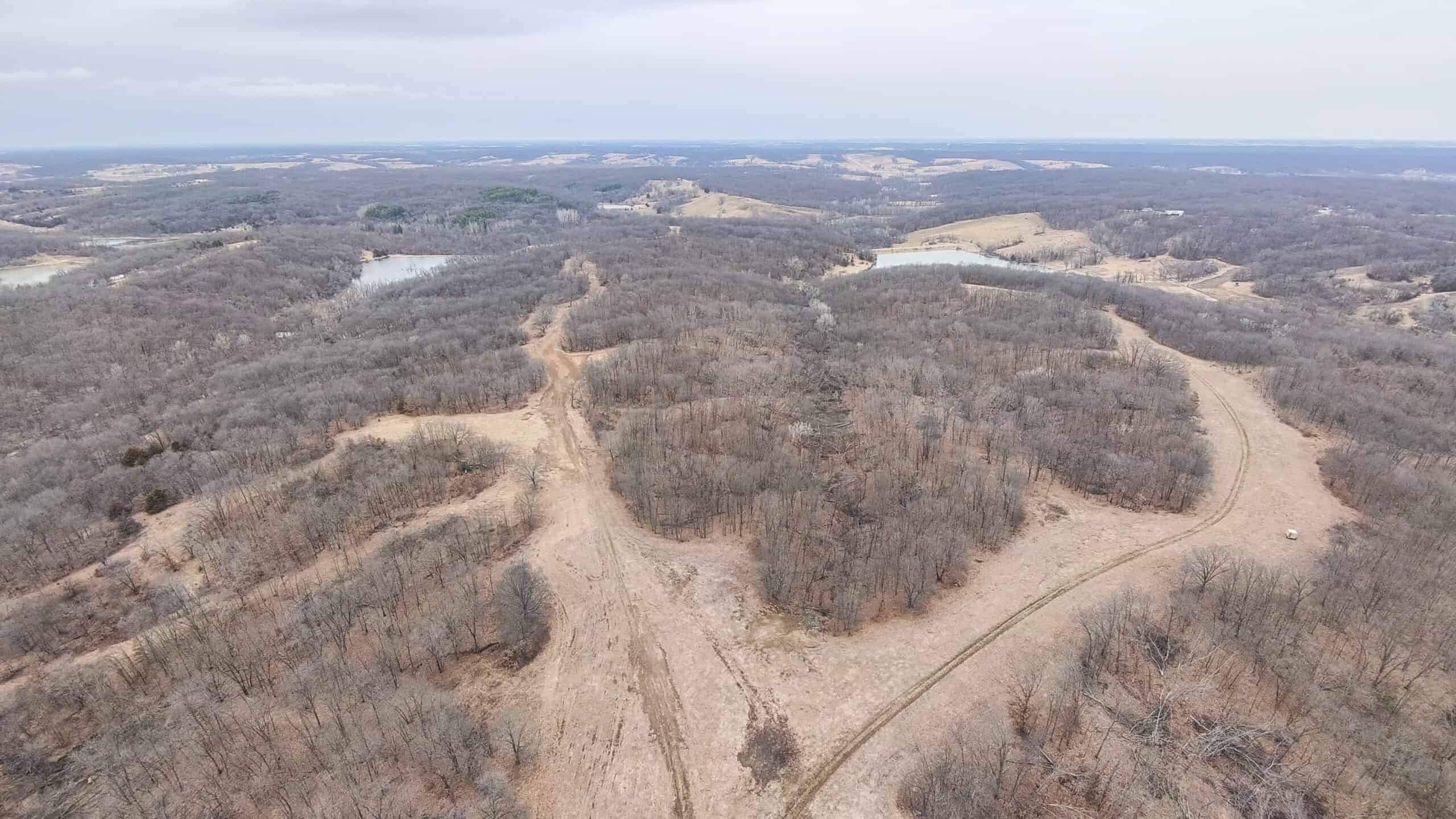 270+/- Acres | Rolling Ridges, Timber, Row Crop & Premier Hunting | Appanoose County, IA