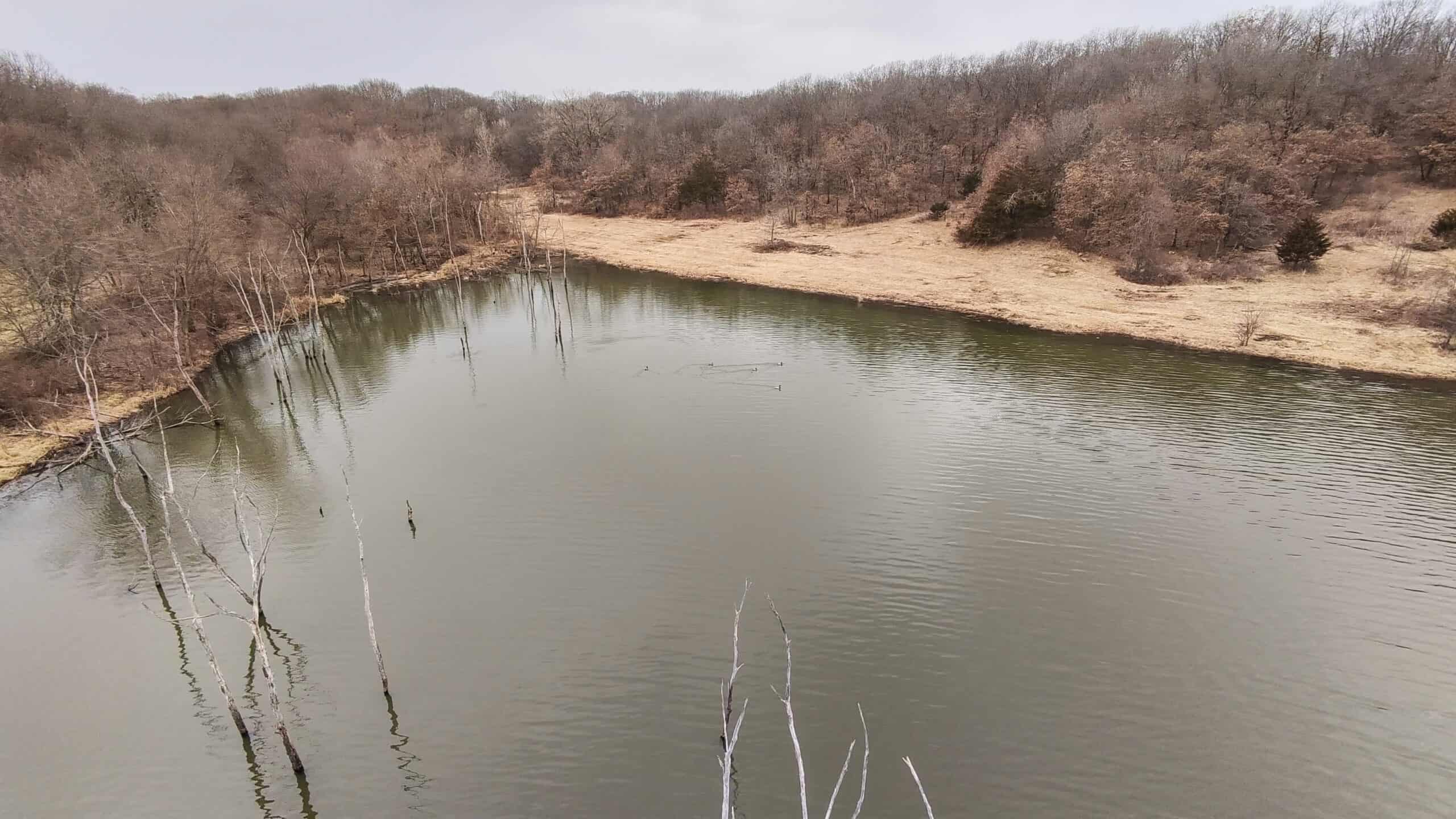 270+/- Acres | Rolling Ridges, Timber, Row Crop & Premier Hunting | Appanoose County, IA