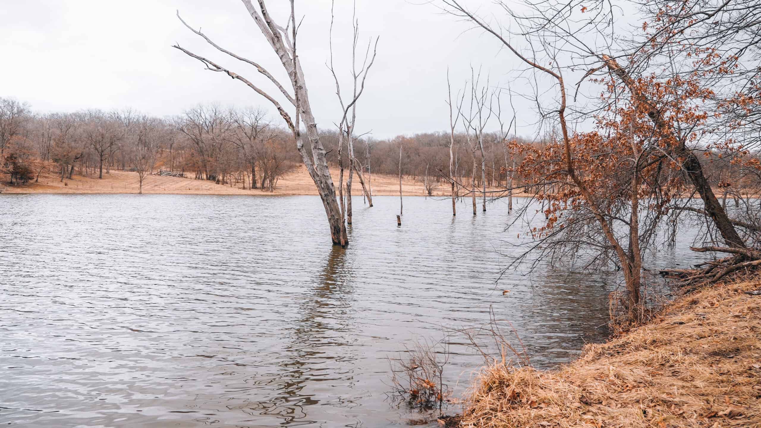 270+/- Acres | Rolling Ridges, Timber, Row Crop & Premier Hunting | Appanoose County, IA