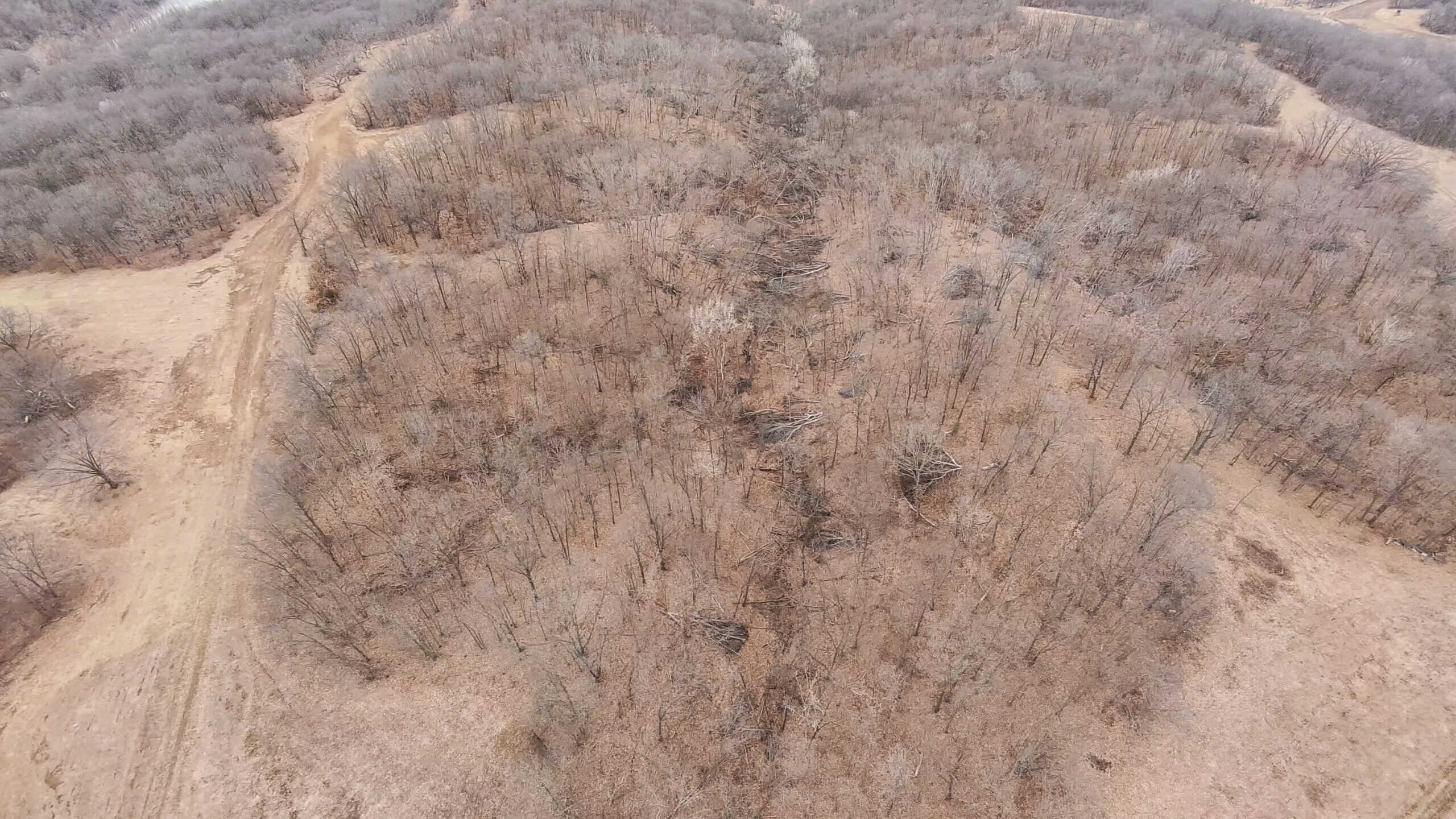 270+/- Acres | Rolling Ridges, Timber, Row Crop & Premier Hunting | Appanoose County, IA