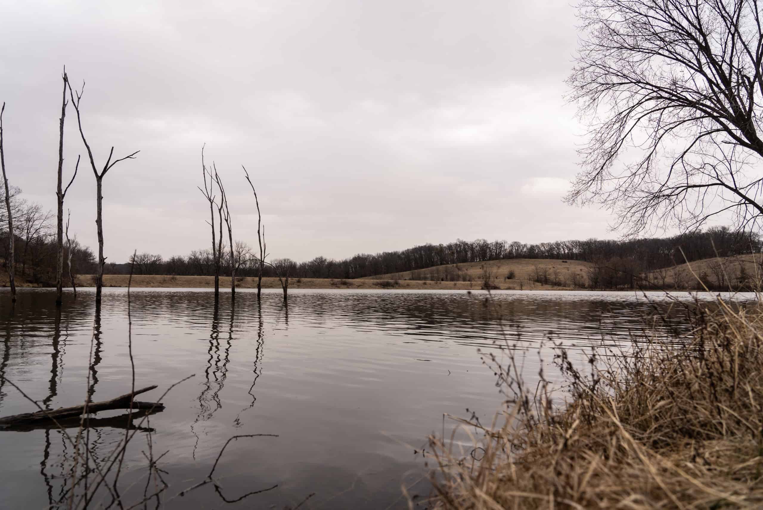 270+/- Acres | Rolling Ridges, Timber, Row Crop & Premier Hunting | Appanoose County, IA