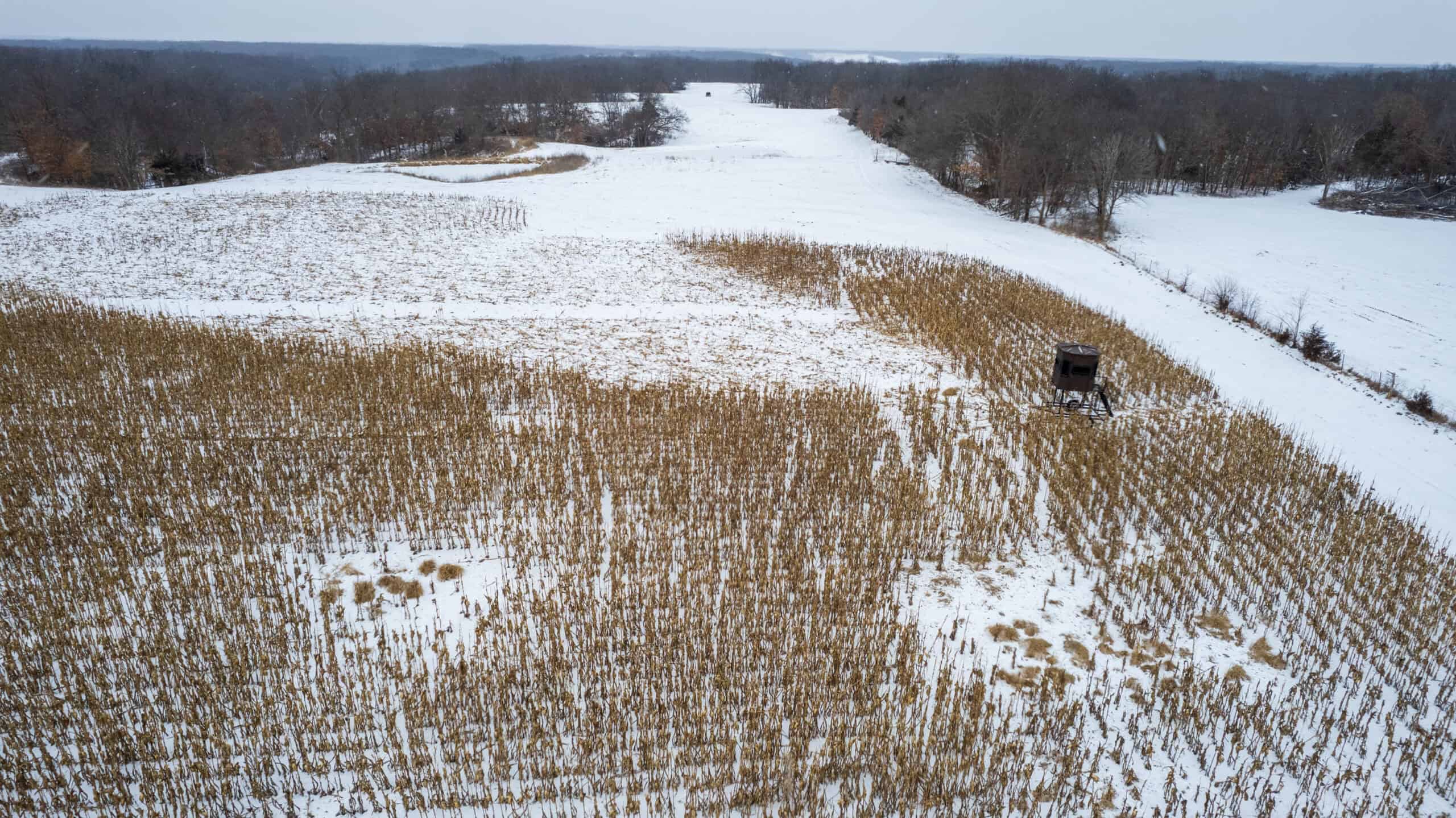 270+/- Acres | Rolling Ridges, Timber, Row Crop & Premier Hunting | Appanoose County, IA