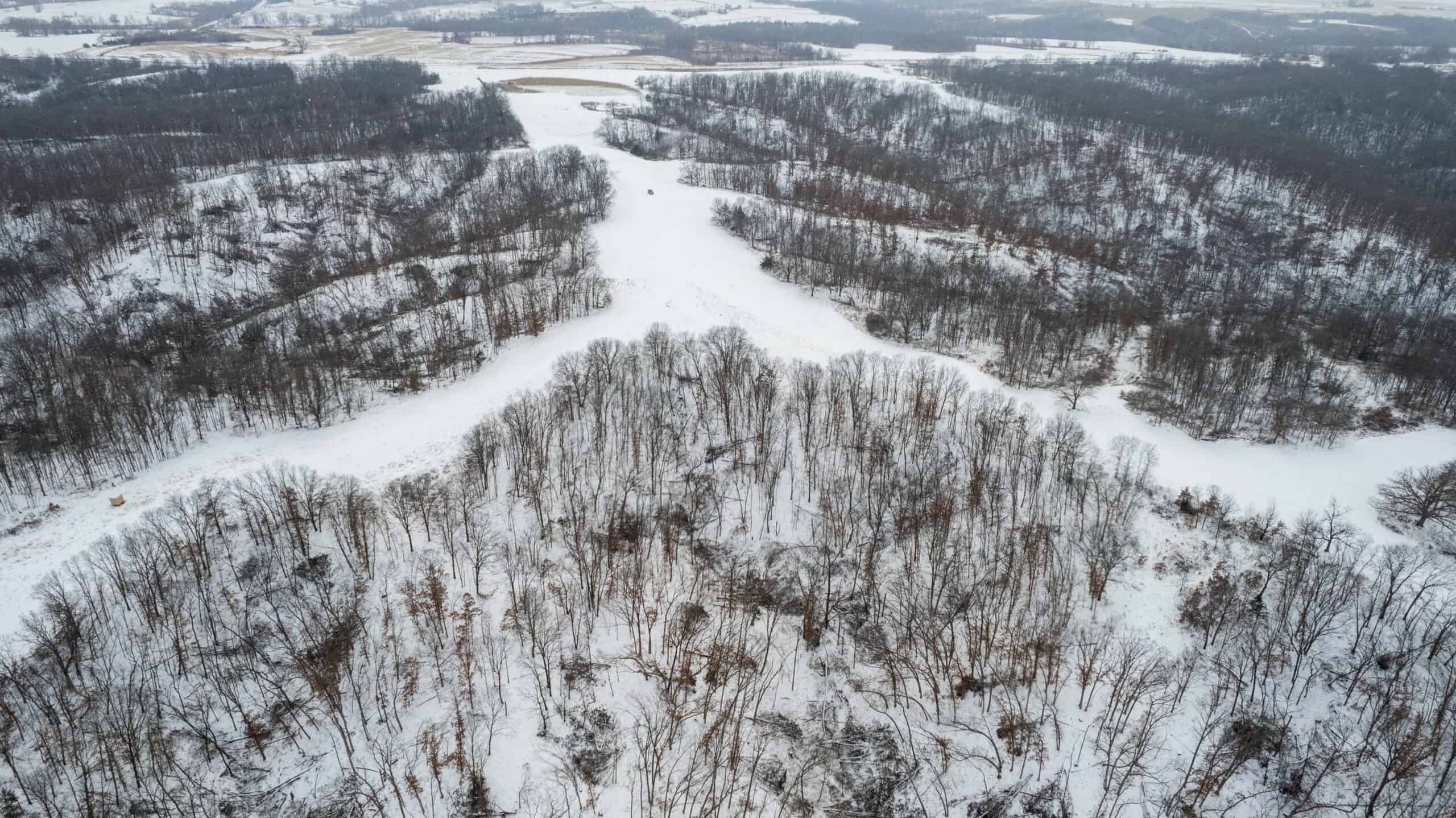 270+/- Acres | Rolling Ridges, Timber, Row Crop & Premier Hunting | Appanoose County, IA