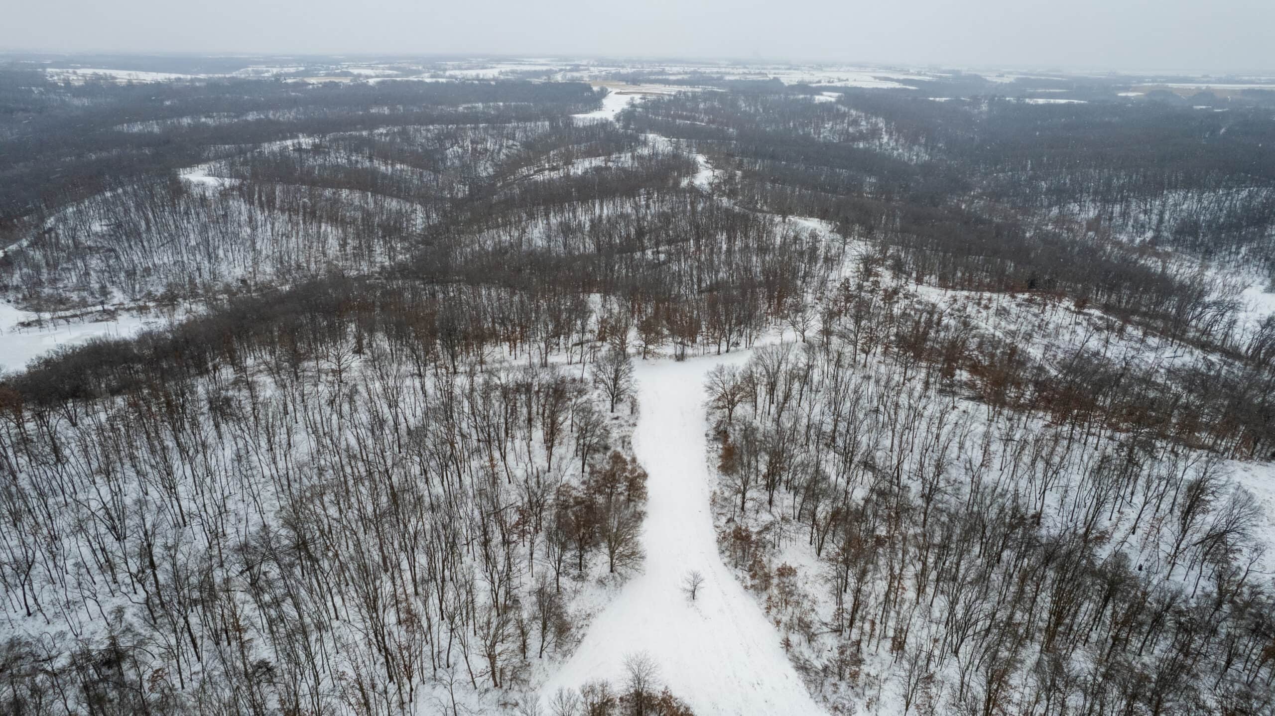 270+/- Acres | Rolling Ridges, Timber, Row Crop & Premier Hunting | Appanoose County, IA