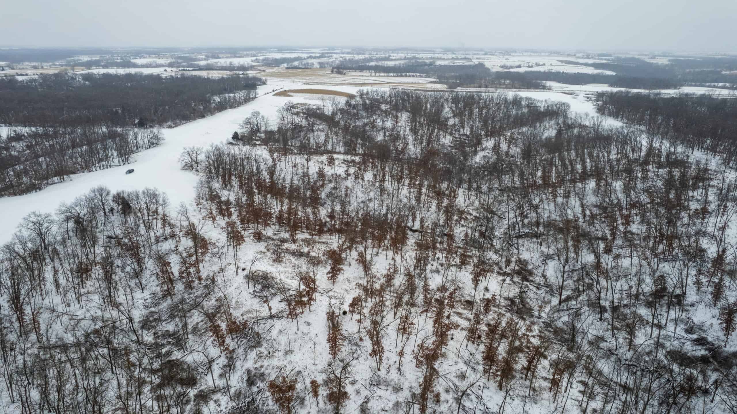 270+/- Acres | Rolling Ridges, Timber, Row Crop & Premier Hunting | Appanoose County, IA