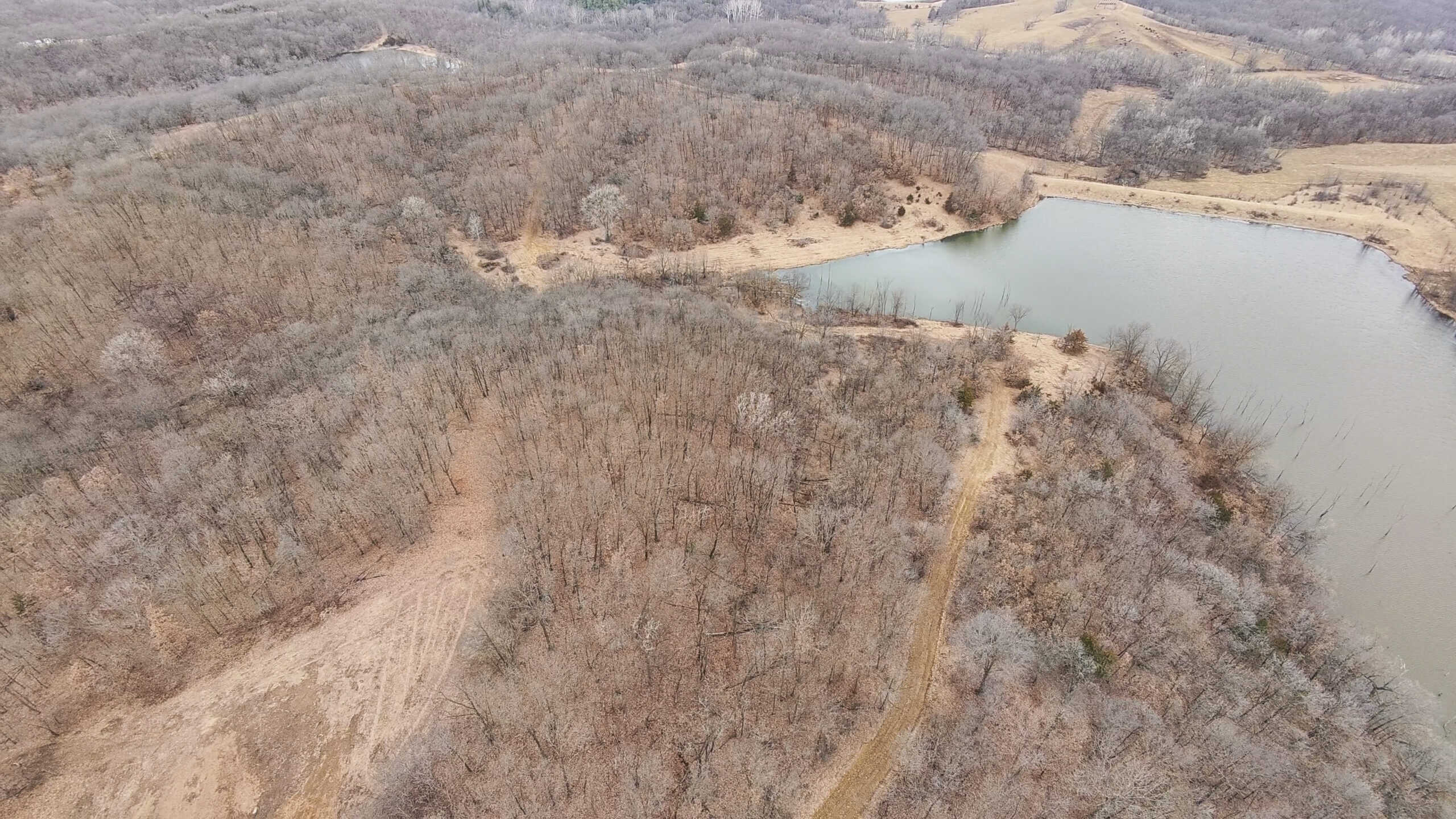 270+/- Acres | Rolling Ridges, Timber, Row Crop & Premier Hunting | Appanoose County, IA