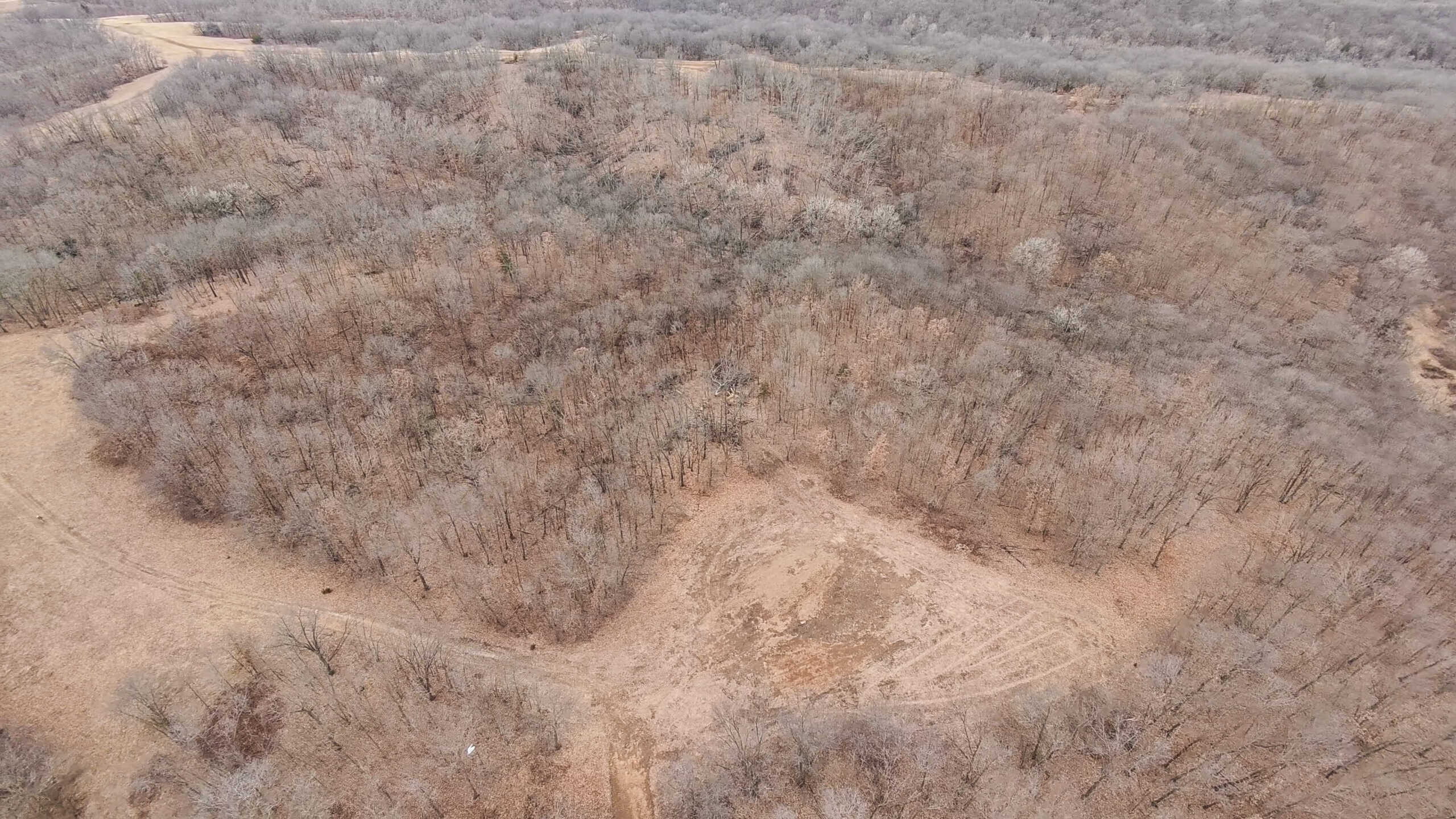 270+/- Acres | Rolling Ridges, Timber, Row Crop & Premier Hunting | Appanoose County, IA