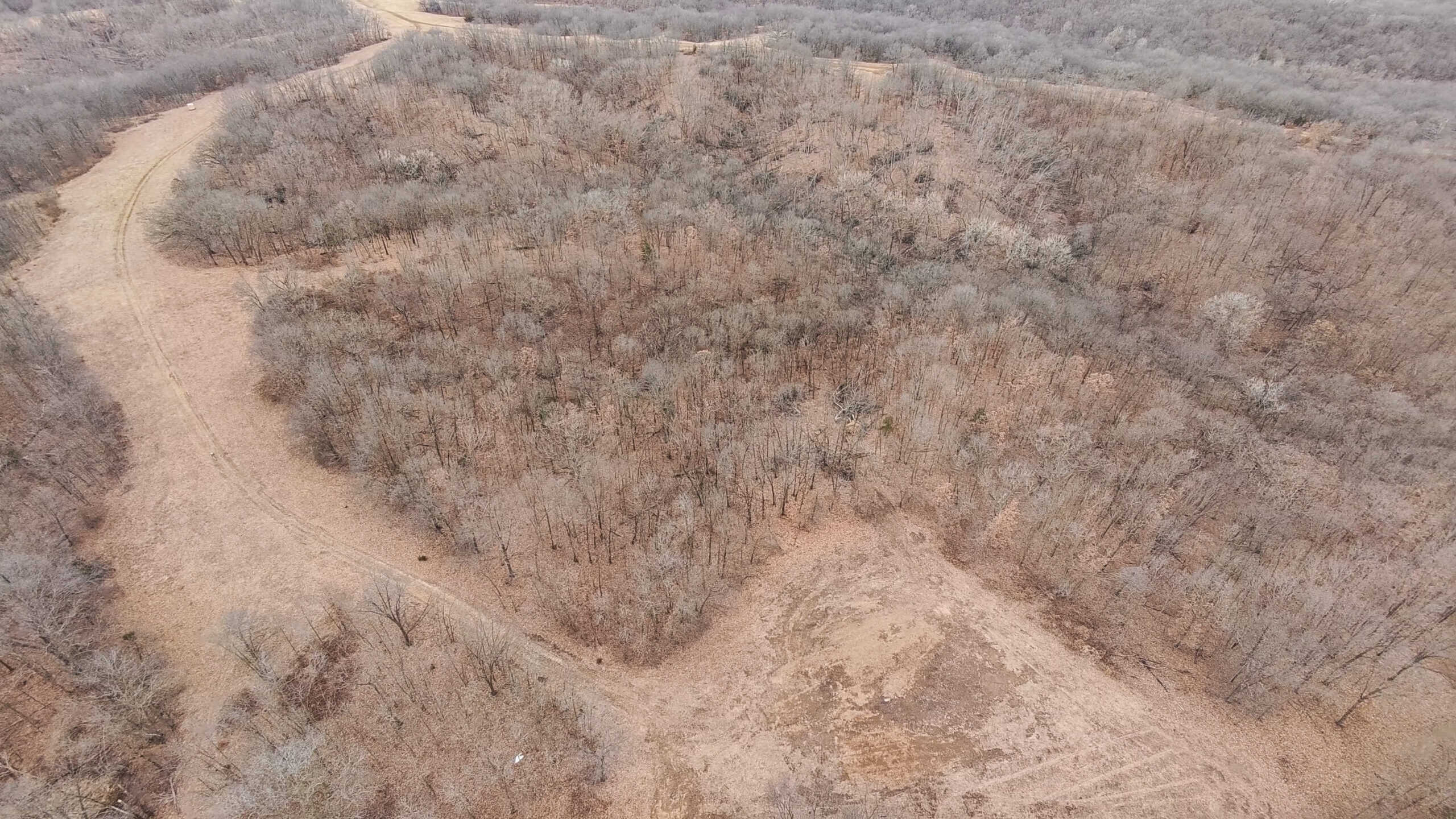 270+/- Acres | Rolling Ridges, Timber, Row Crop & Premier Hunting | Appanoose County, IA