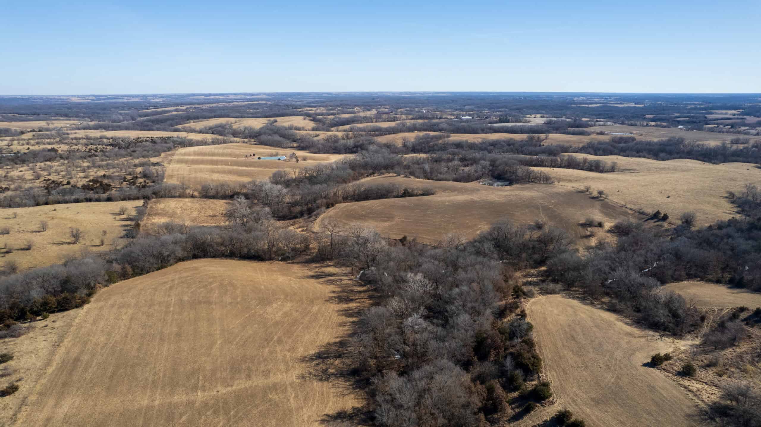 125+/- Acres | Combination Farm with Timber, Pasture & Hunting Potential | Appanoose County, IA