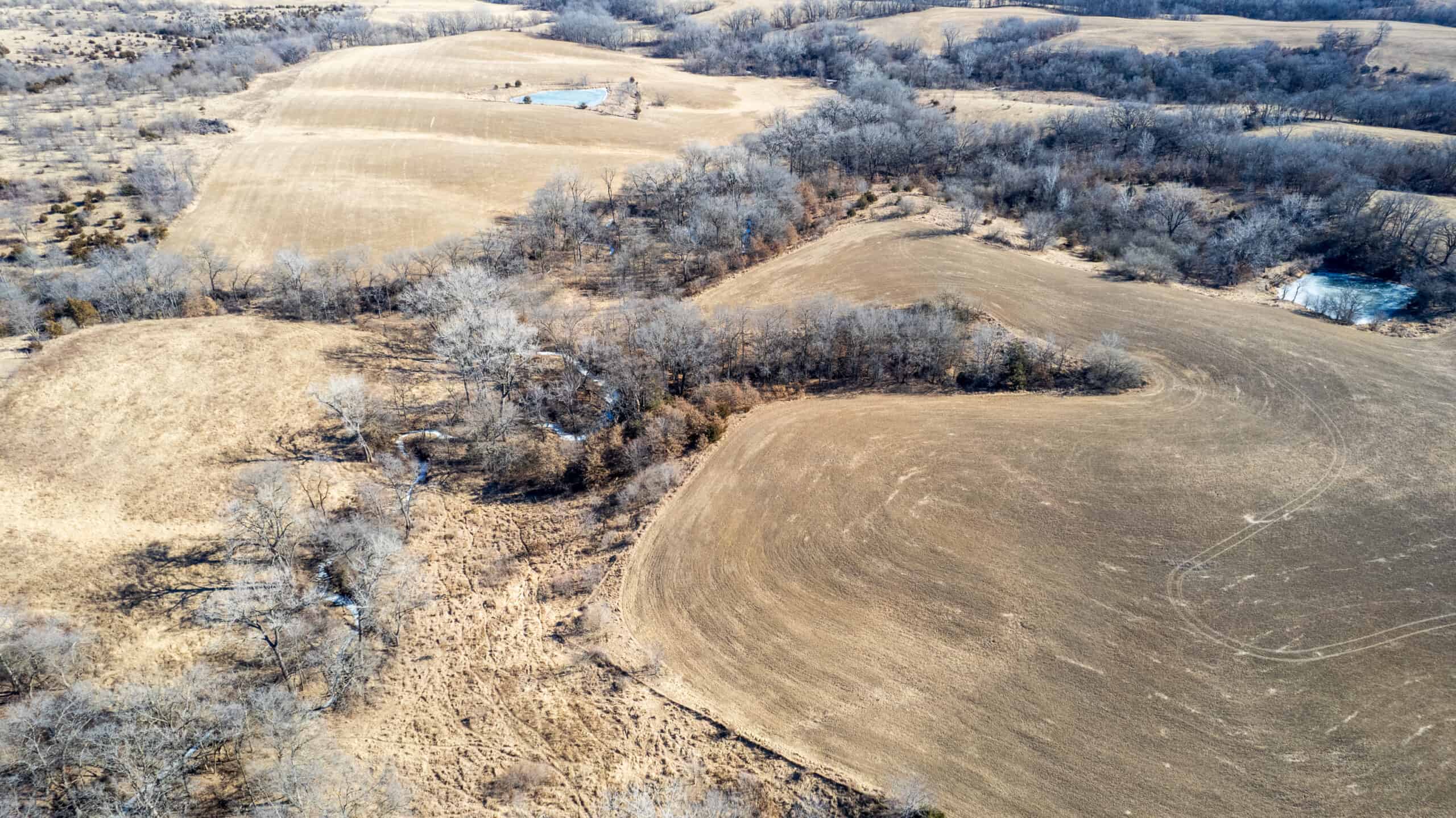 125+/- Acres | Combination Farm with Timber, Pasture & Hunting Potential | Appanoose County, IA