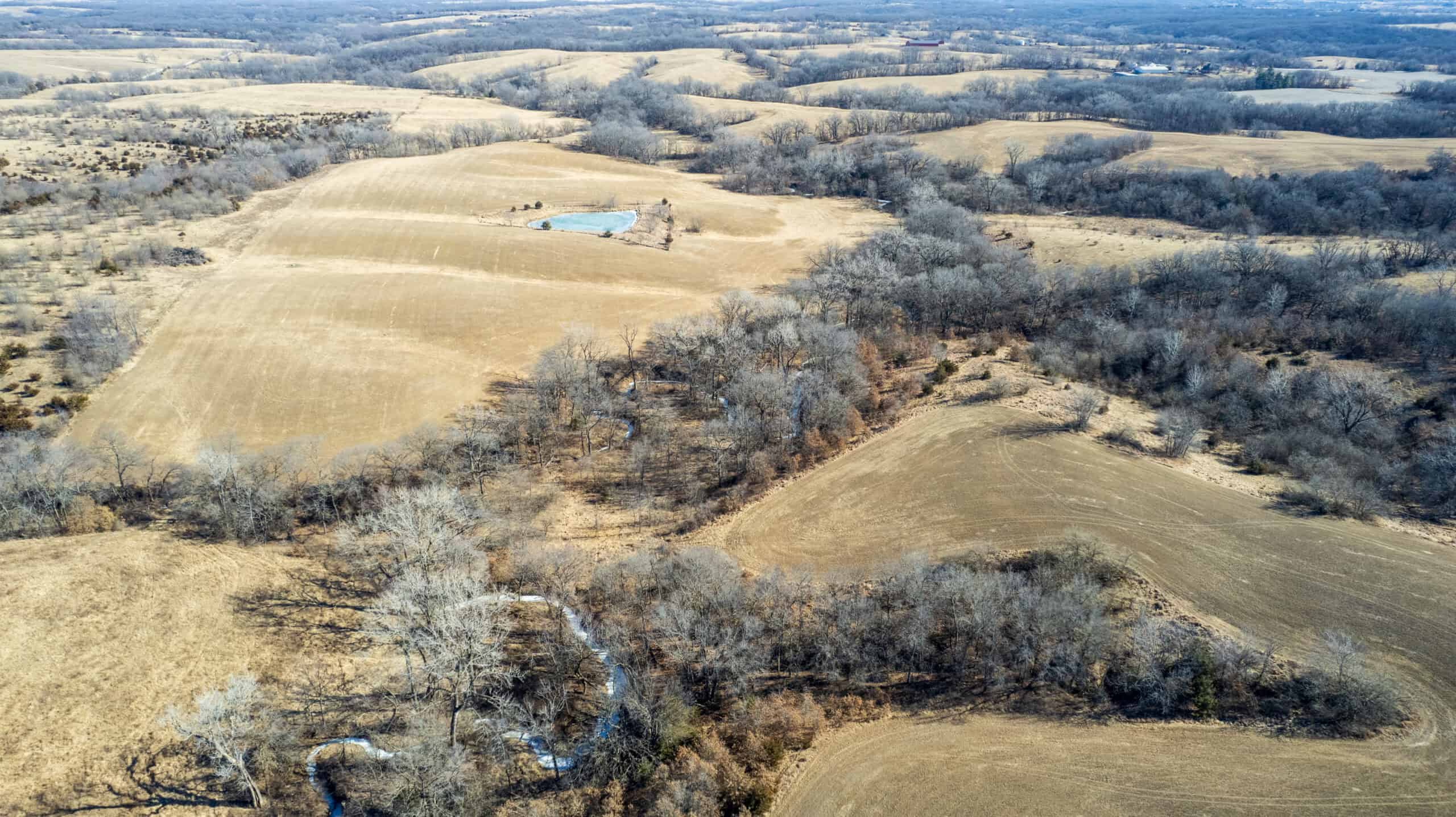 125+/- Acres | Combination Farm with Timber, Pasture & Hunting Potential | Appanoose County, IA