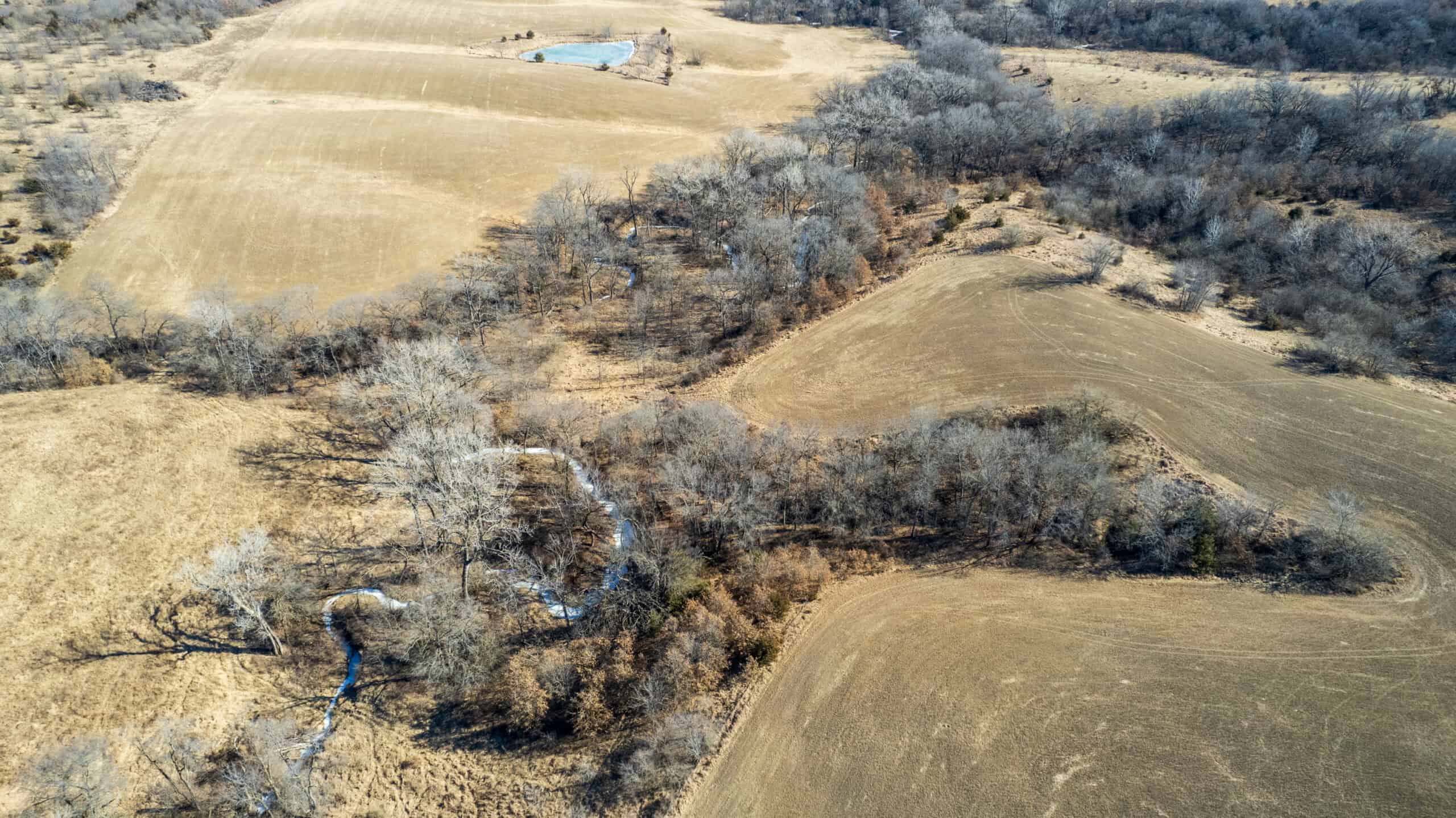 125+/- Acres | Combination Farm with Timber, Pasture & Hunting Potential | Appanoose County, IA