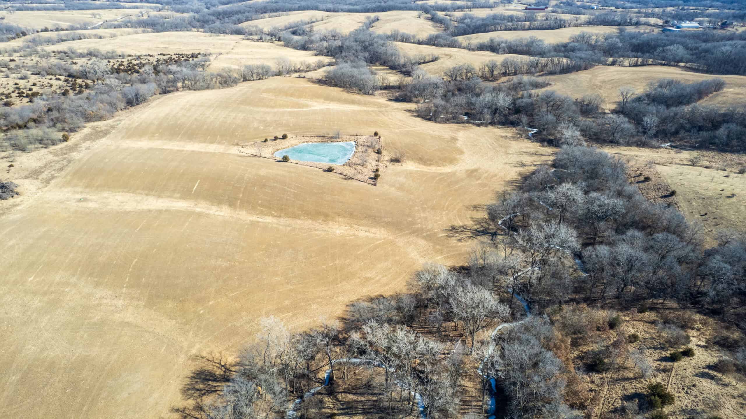 125+/- Acres | Combination Farm with Timber, Pasture & Hunting Potential | Appanoose County, IA