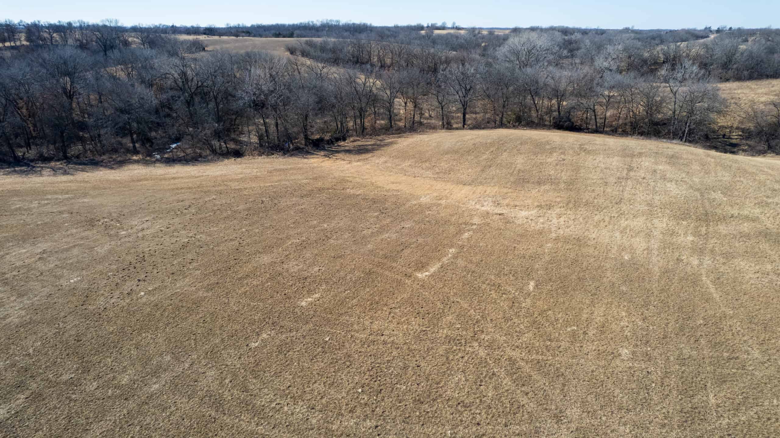 125+/- Acres | Combination Farm with Timber, Pasture & Hunting Potential | Appanoose County, IA
